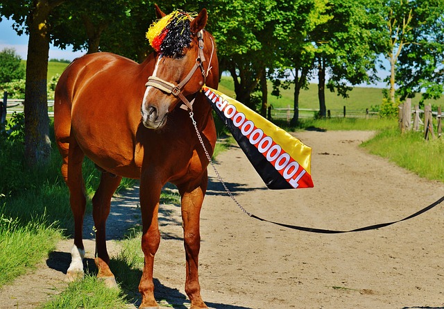 此次未入选意大利队身价前10：基恩5000万欧第1，莱昂尼在列