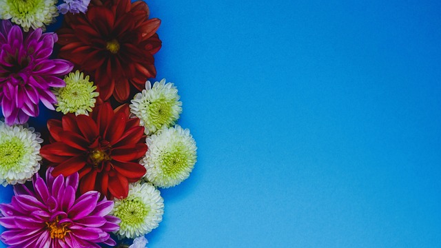 LGD官方：打野选手Heng正式加入