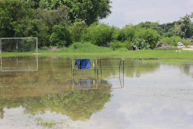国米税前年薪排名：劳塔罗1660万欧第1，4人超千万