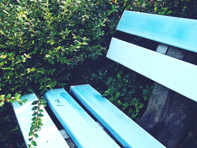 似乎遇到了 似乎遇到了