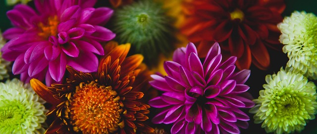 关键时刻的 关键时刻的