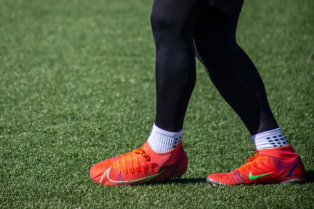 在数据上 在数据上