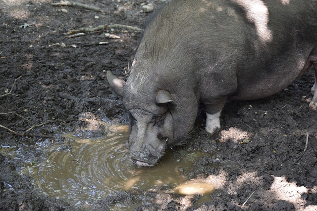 这场惨败应 这场惨败应